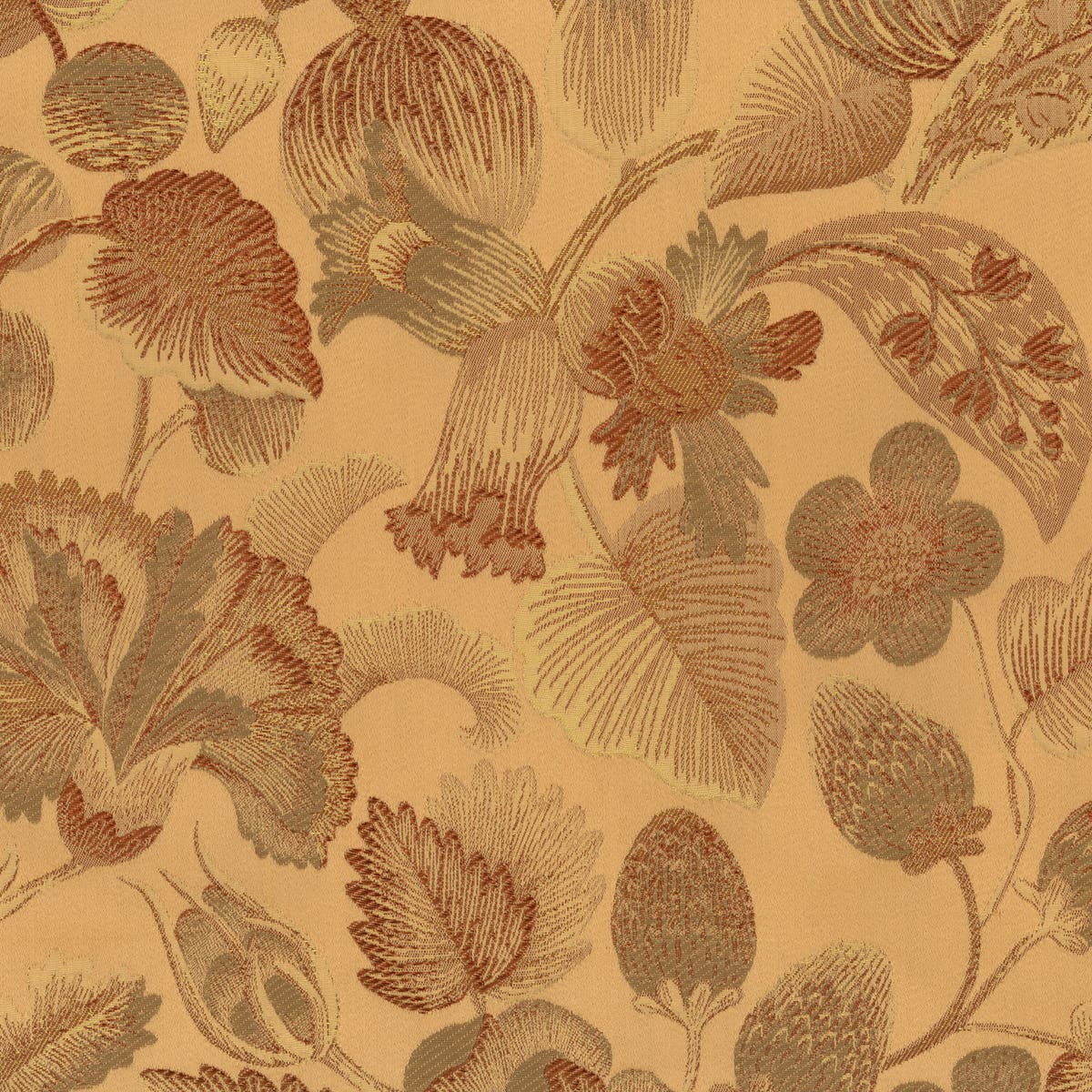Rubelli Royal Botanica fabric - Albicocca