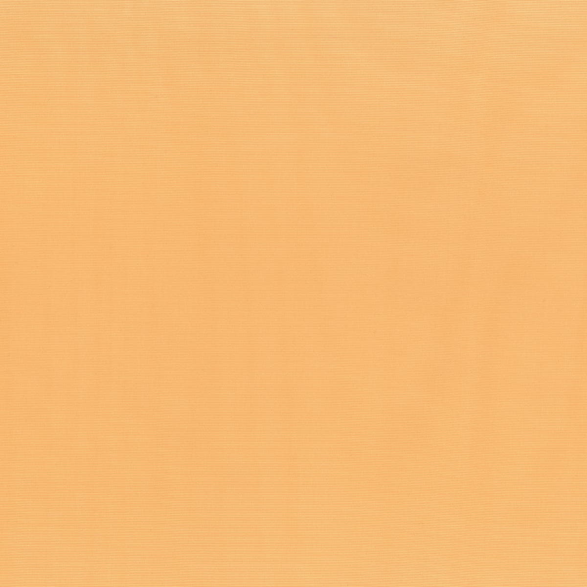 Rubelli Forget-me-not fabric - Albicocca