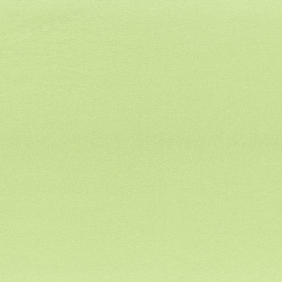 Rubelli Iris fabric - Lime