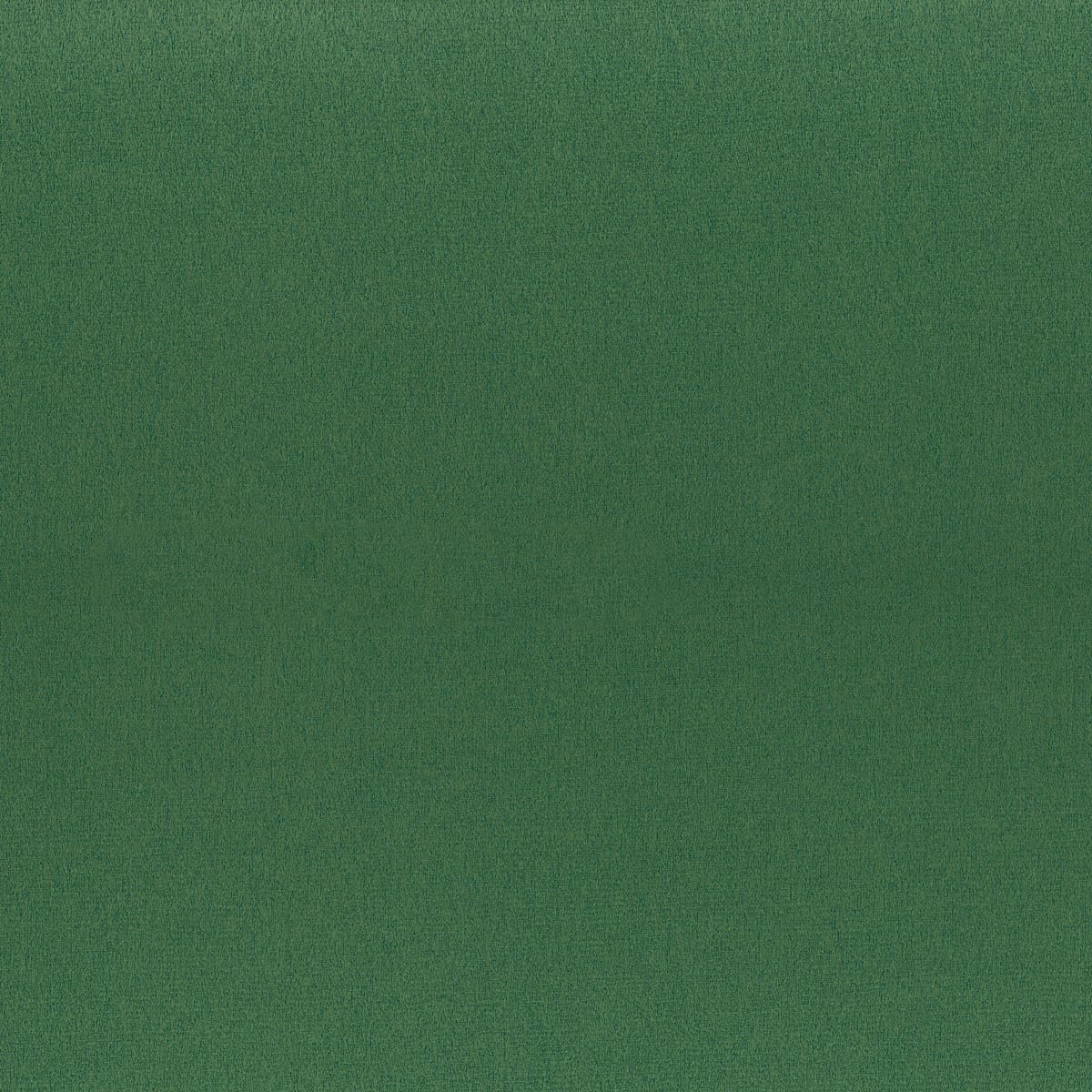 Rubelli Iris fabric - Verde