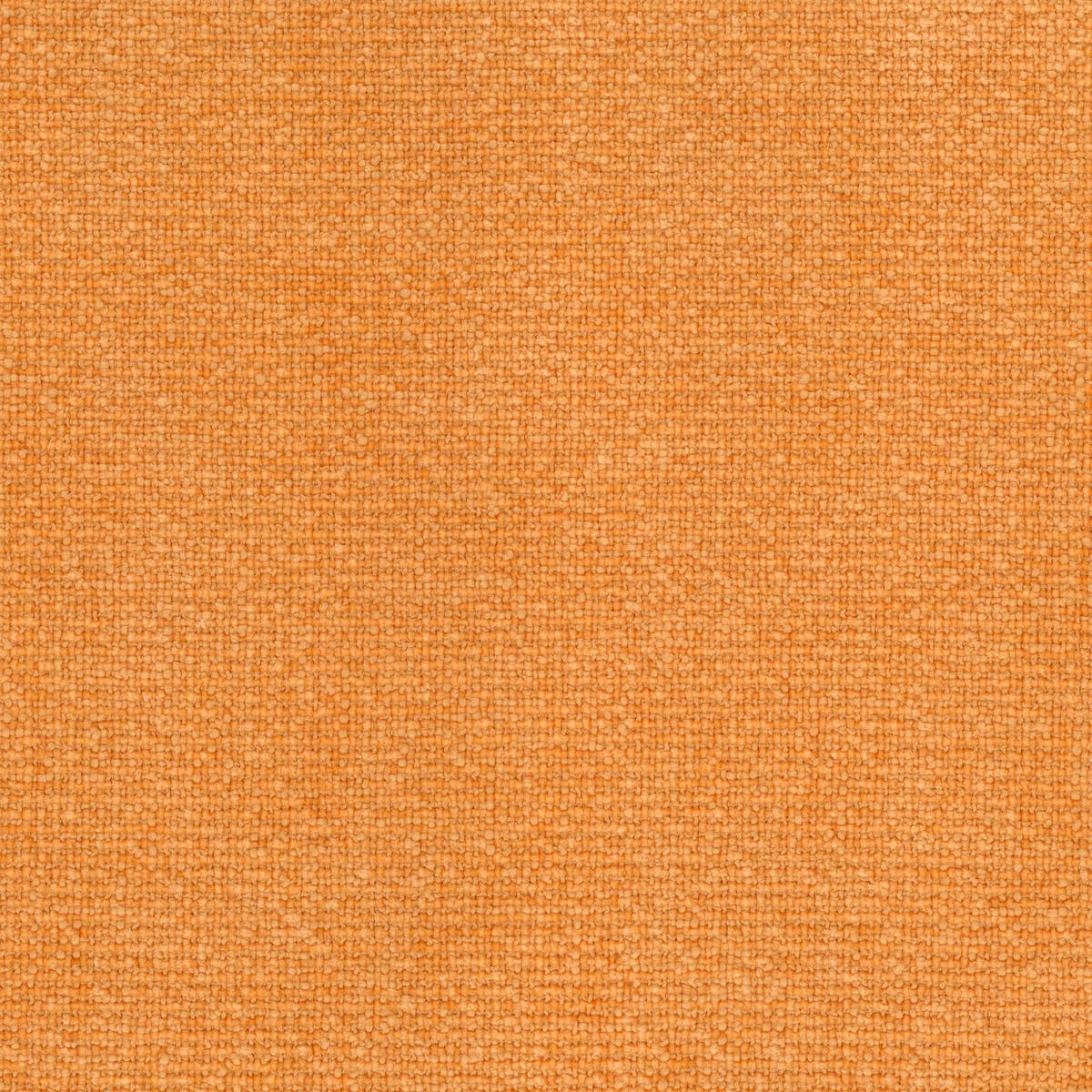 Rubelli Moss fabric - Albicocca