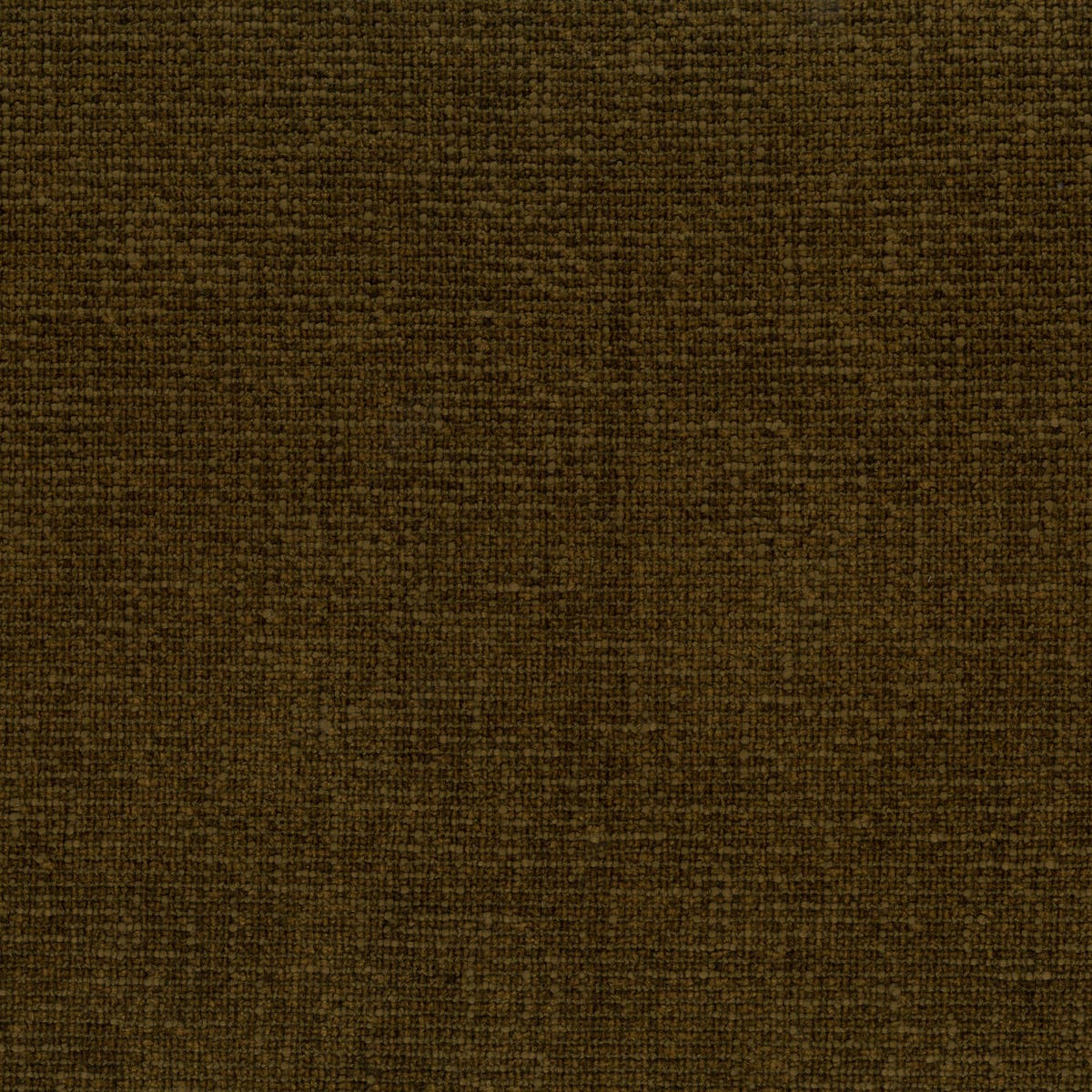 Rubelli Moss fabric - Marrone