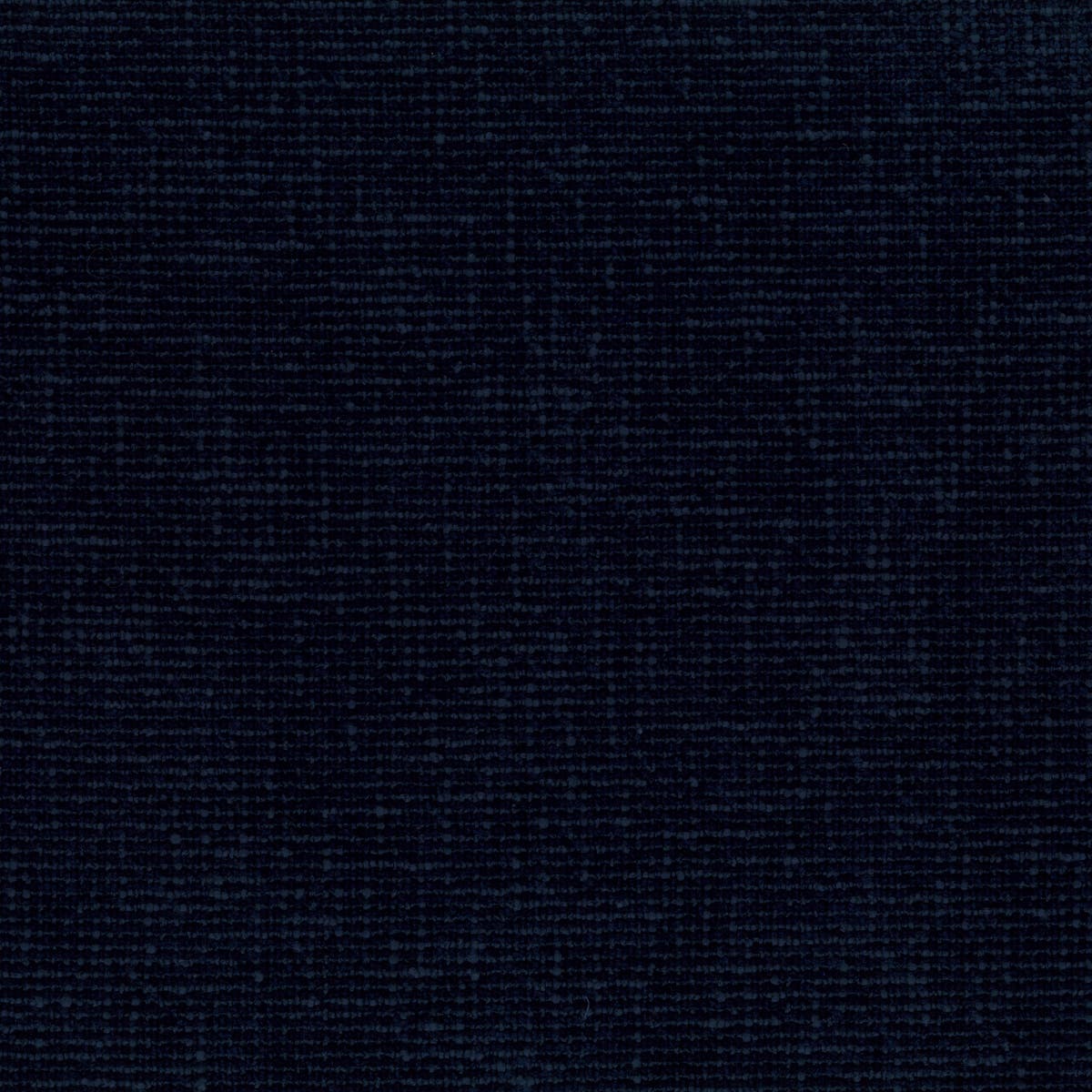 Rubelli Moss fabric - Blu