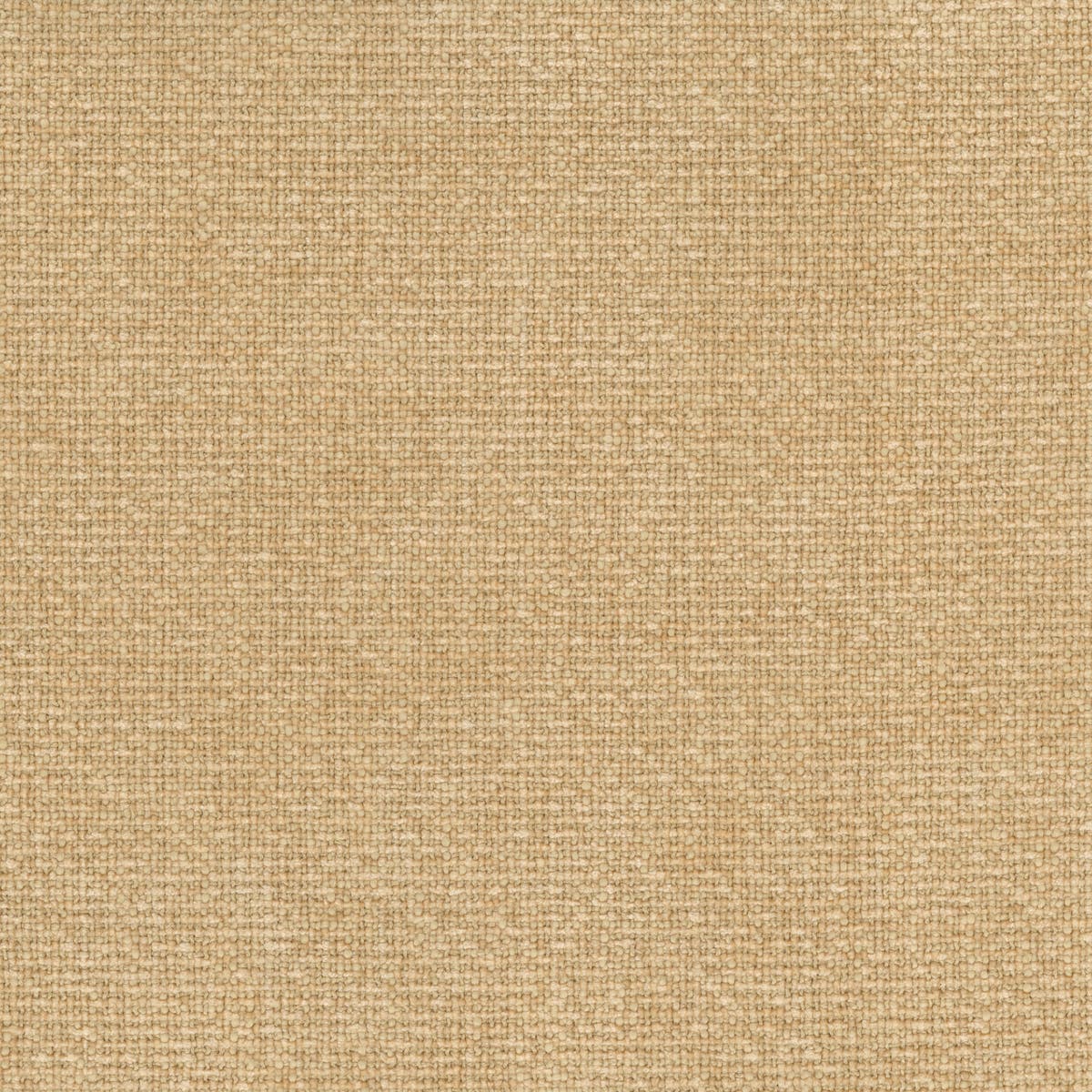 Rubelli Moss fabric - Nude