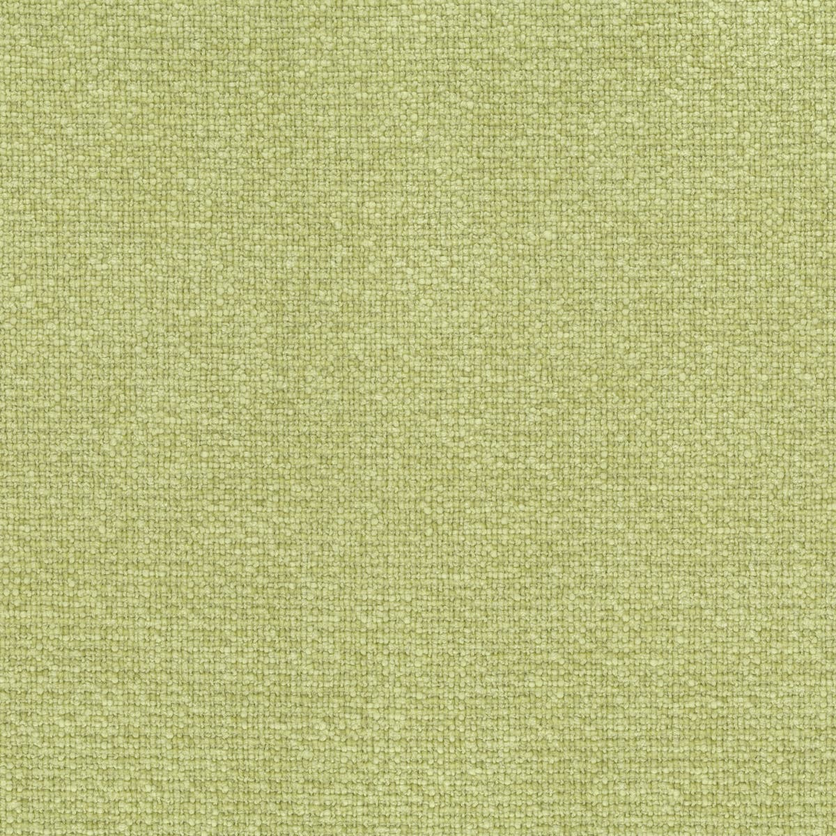 Rubelli Moss fabric - Tiglio