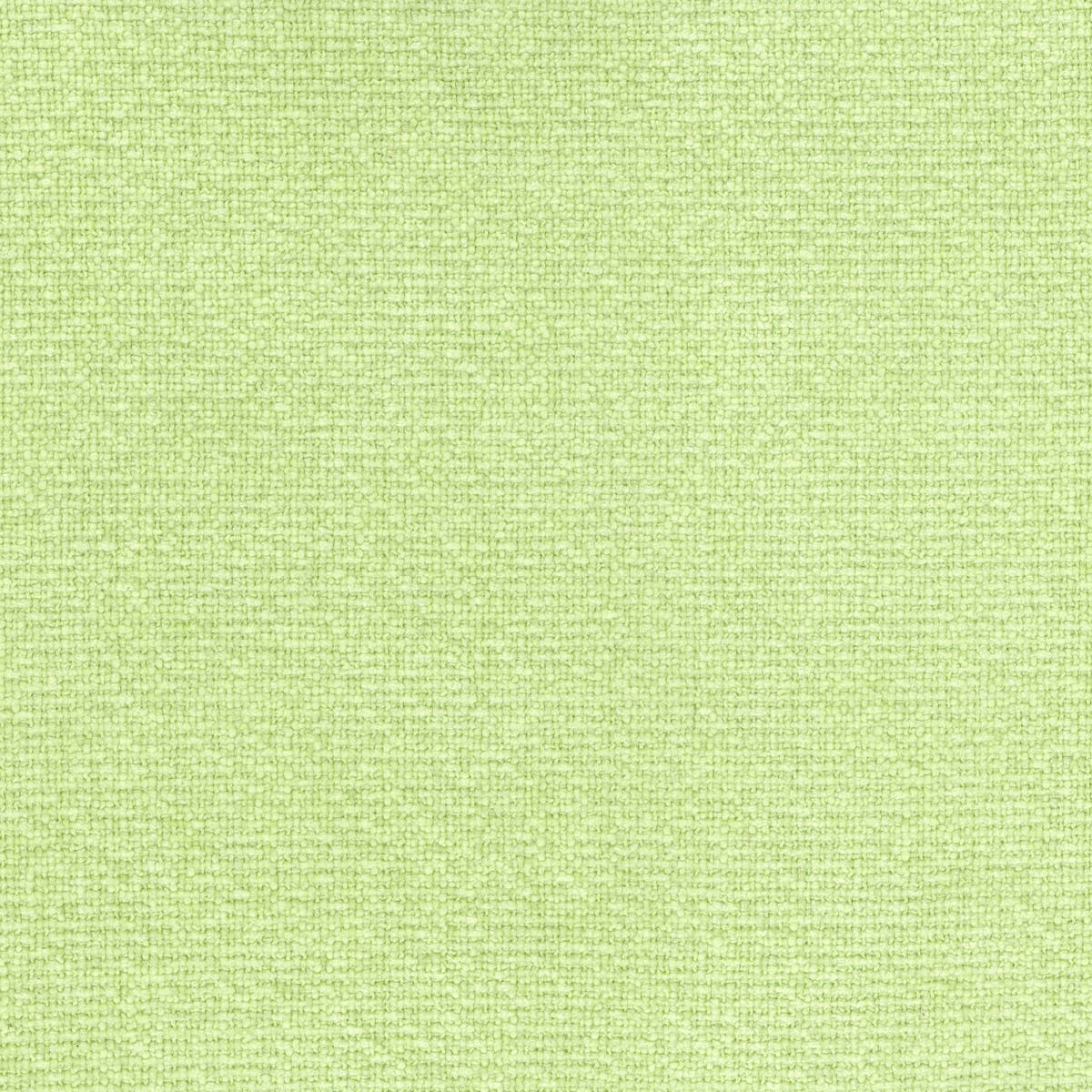 Rubelli Moss fabric - Lime