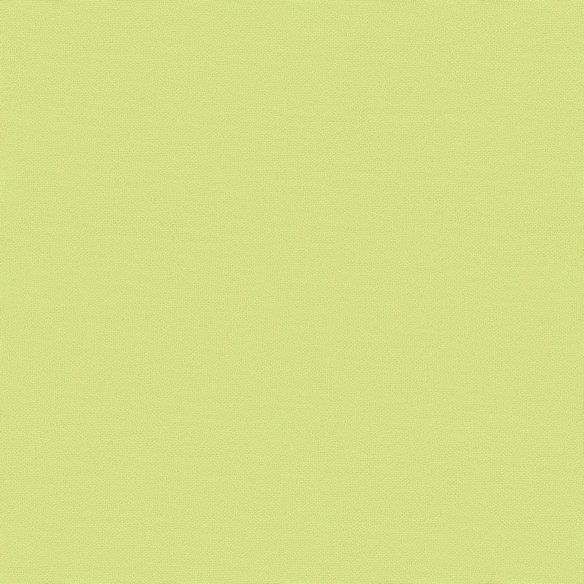 Rubelli Bouquet fabric - Lime