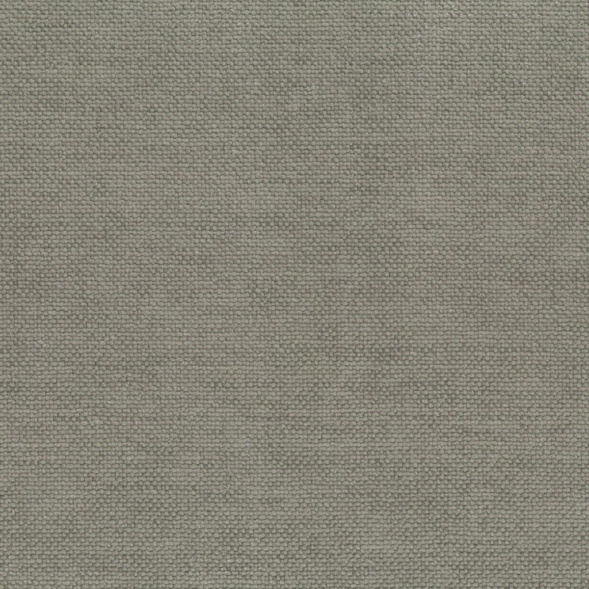 Rubelli Sherlock fabric - Argento