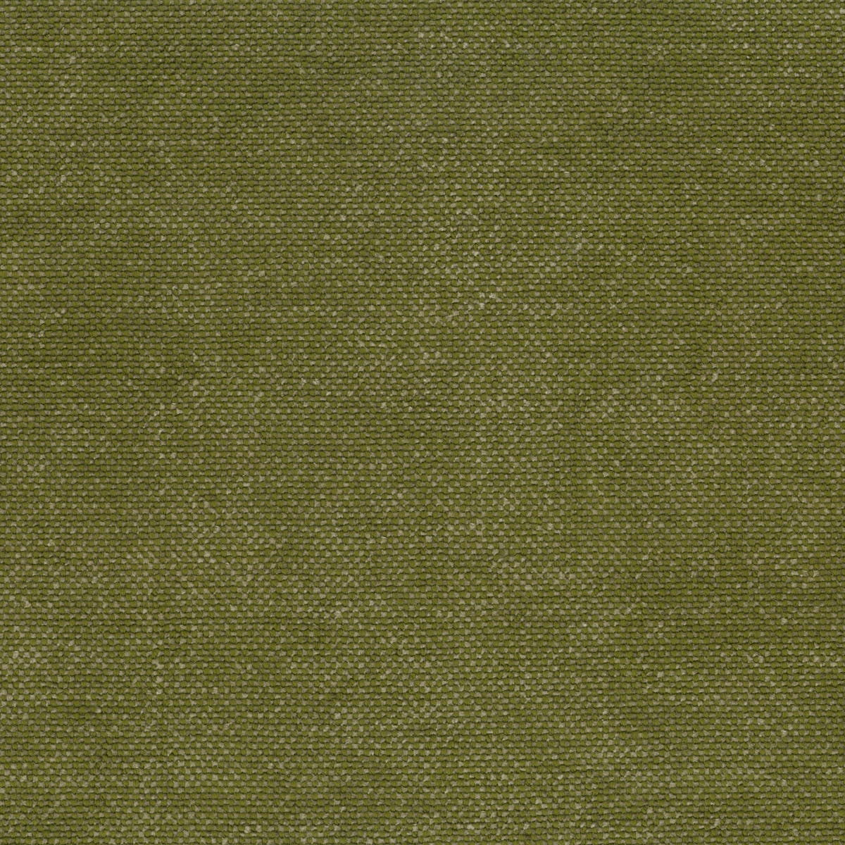 Rubelli Sherlock fabric - Oliva