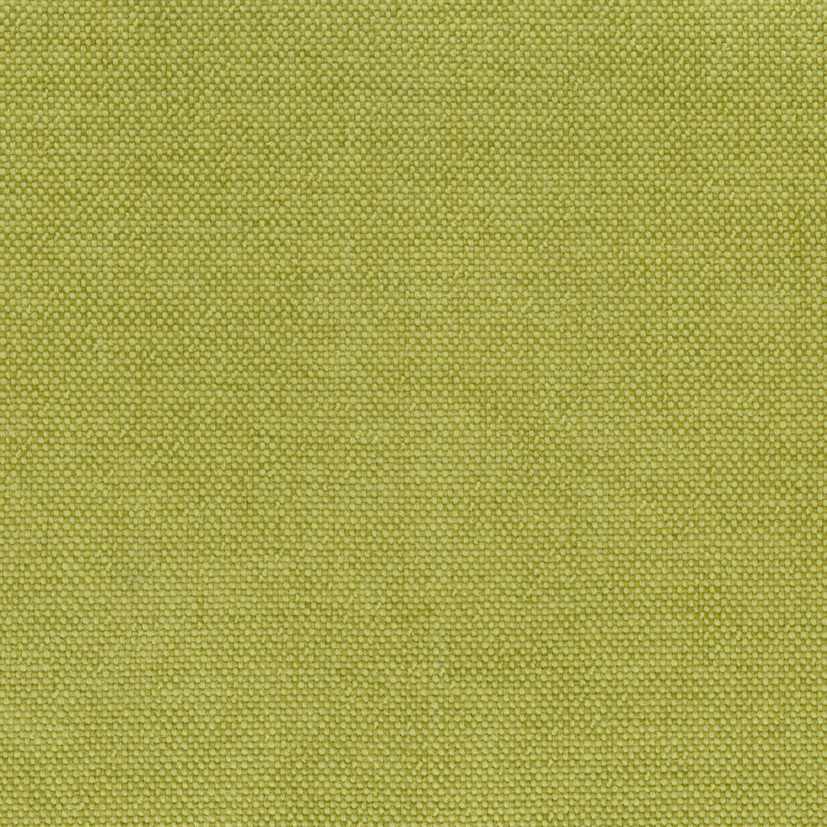 Rubelli Sherlock fabric - Alga