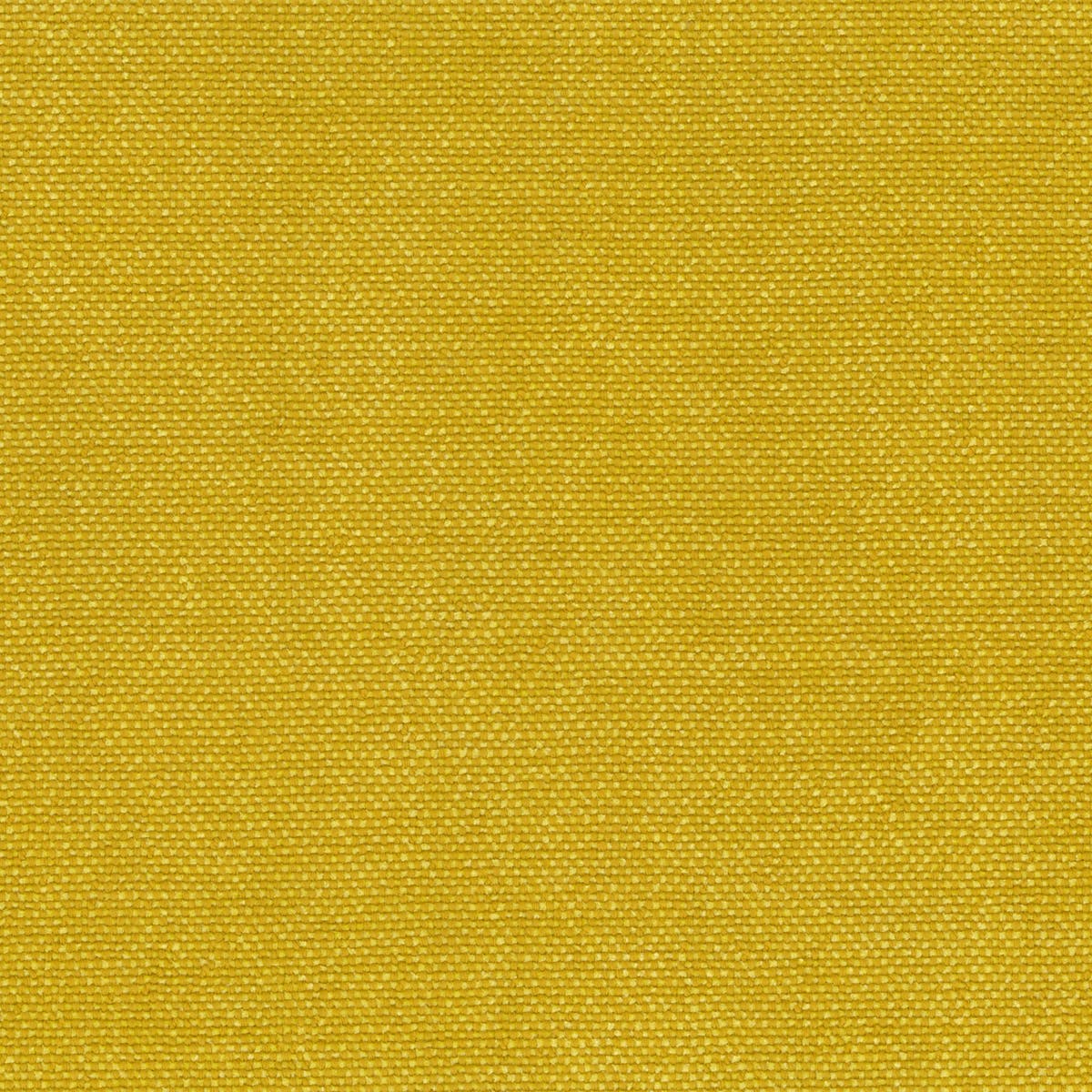Rubelli Sherlock fabric - Giallo