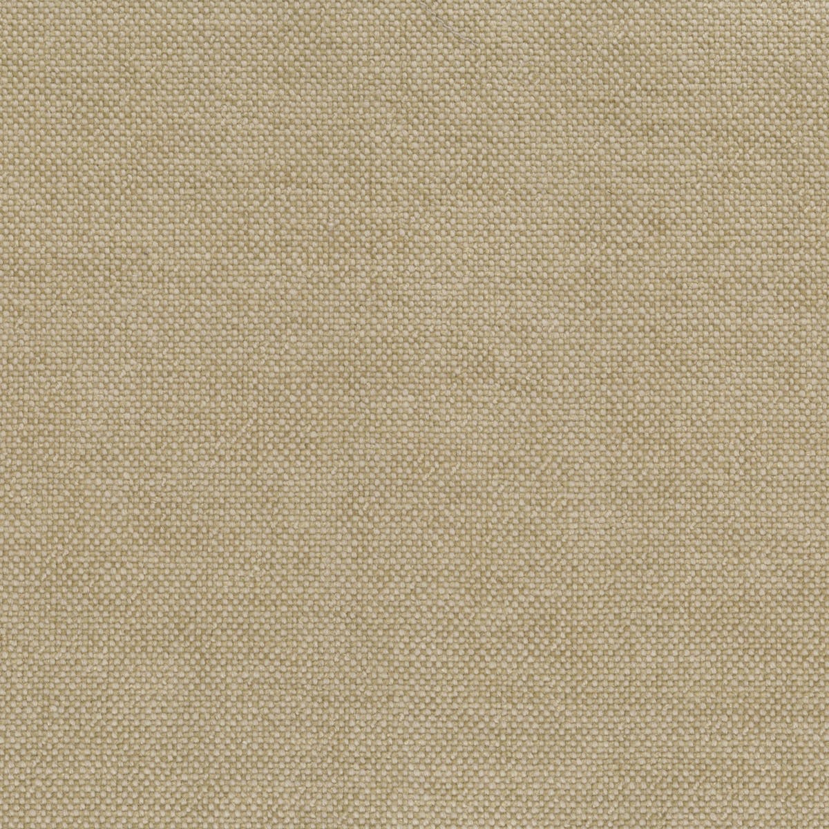 Rubelli Sherlock fabric - Bamboo