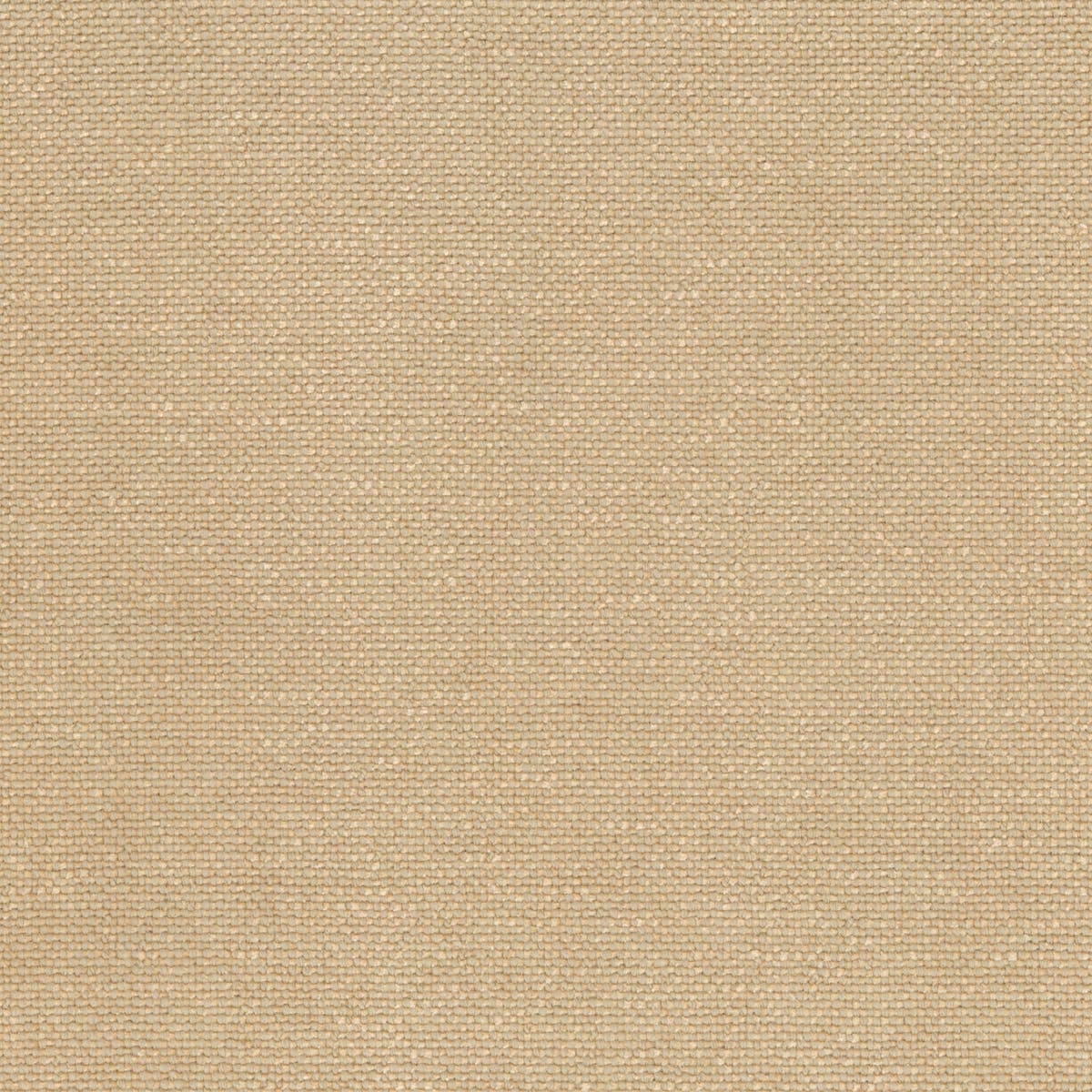 Rubelli Sherlock fabric - Nude