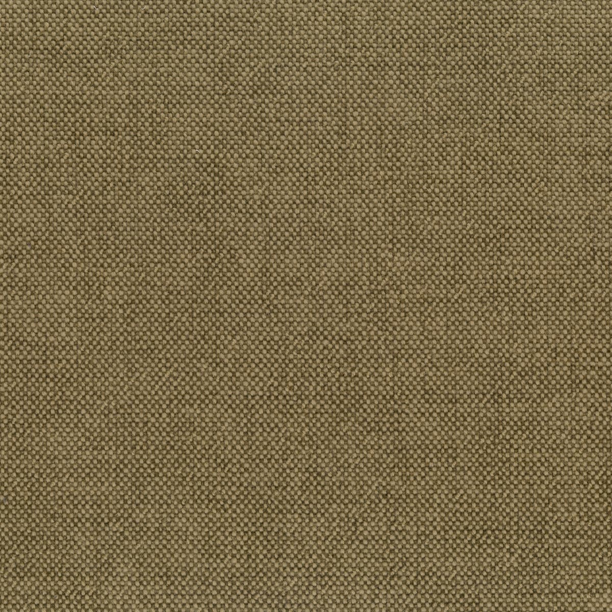 Rubelli Sherlock fabric - Legno