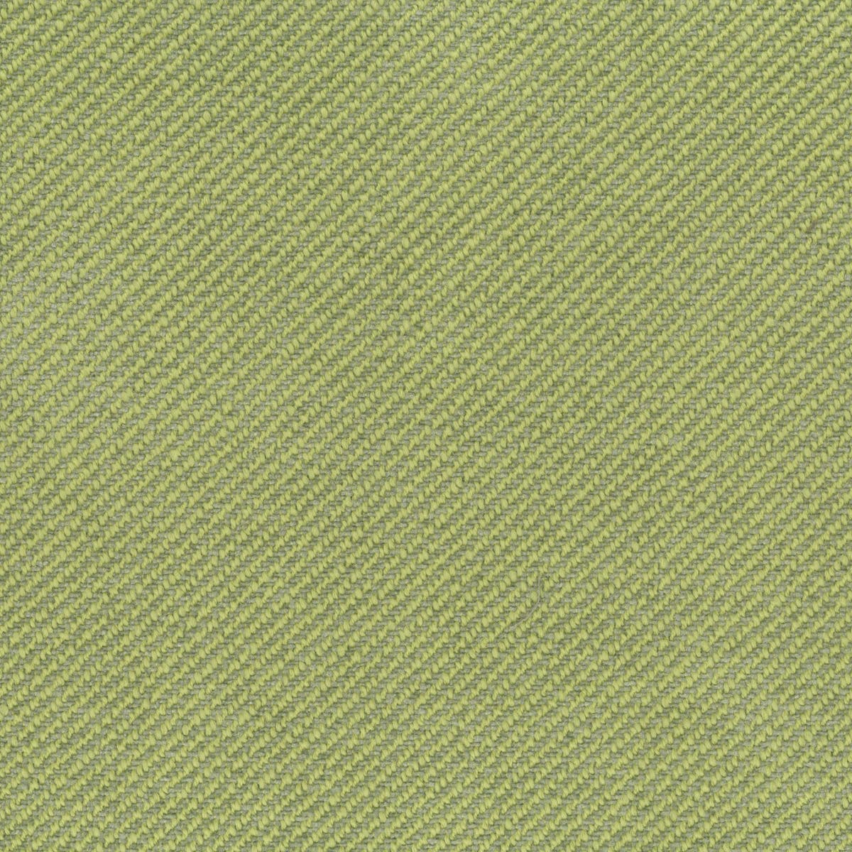 Rubelli Barnaby fabric - Alga
