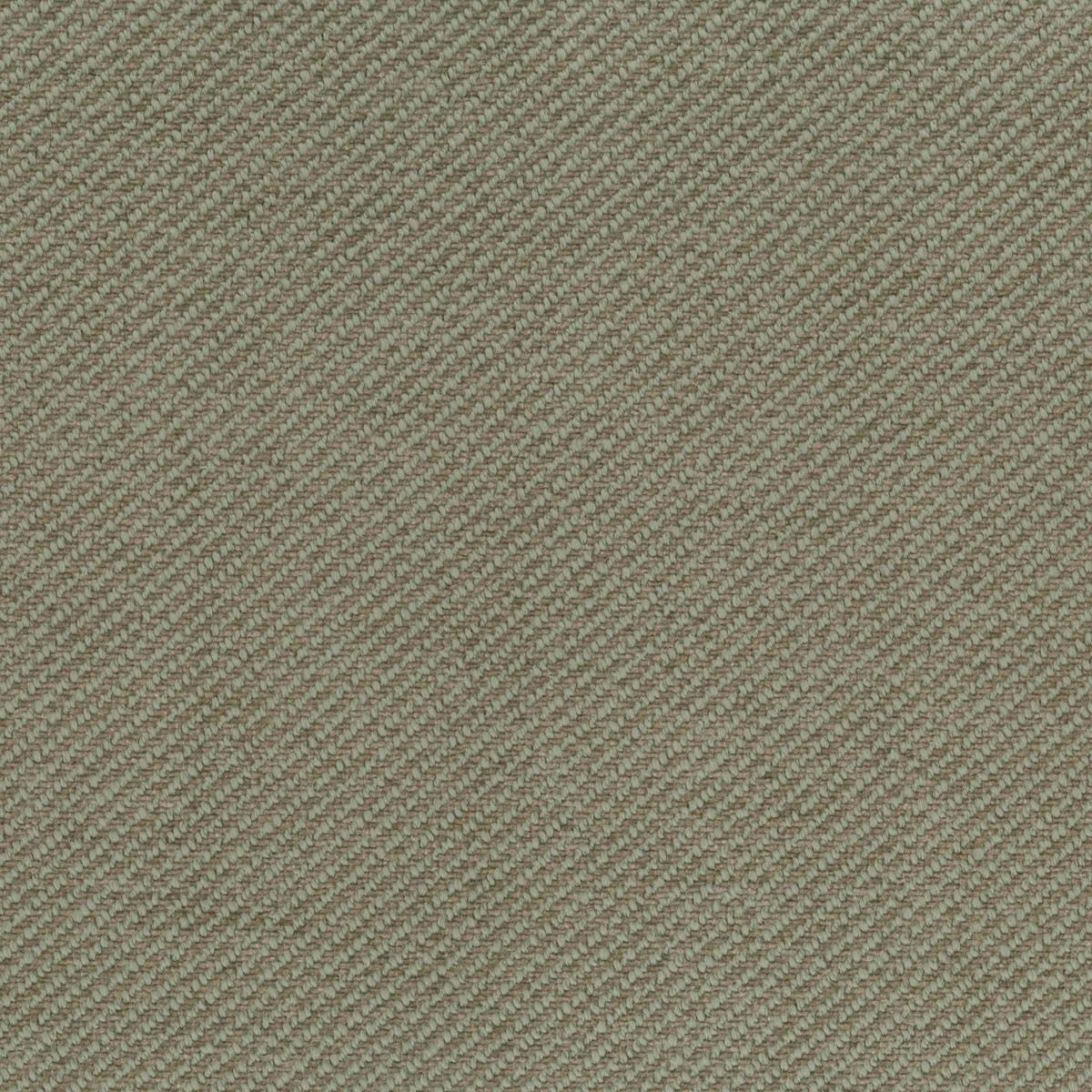 Rubelli Barnaby fabric - Lichene
