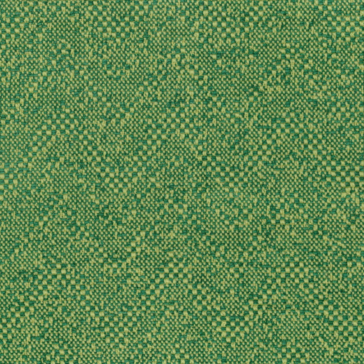 Rubelli Marple fabric - Alga
