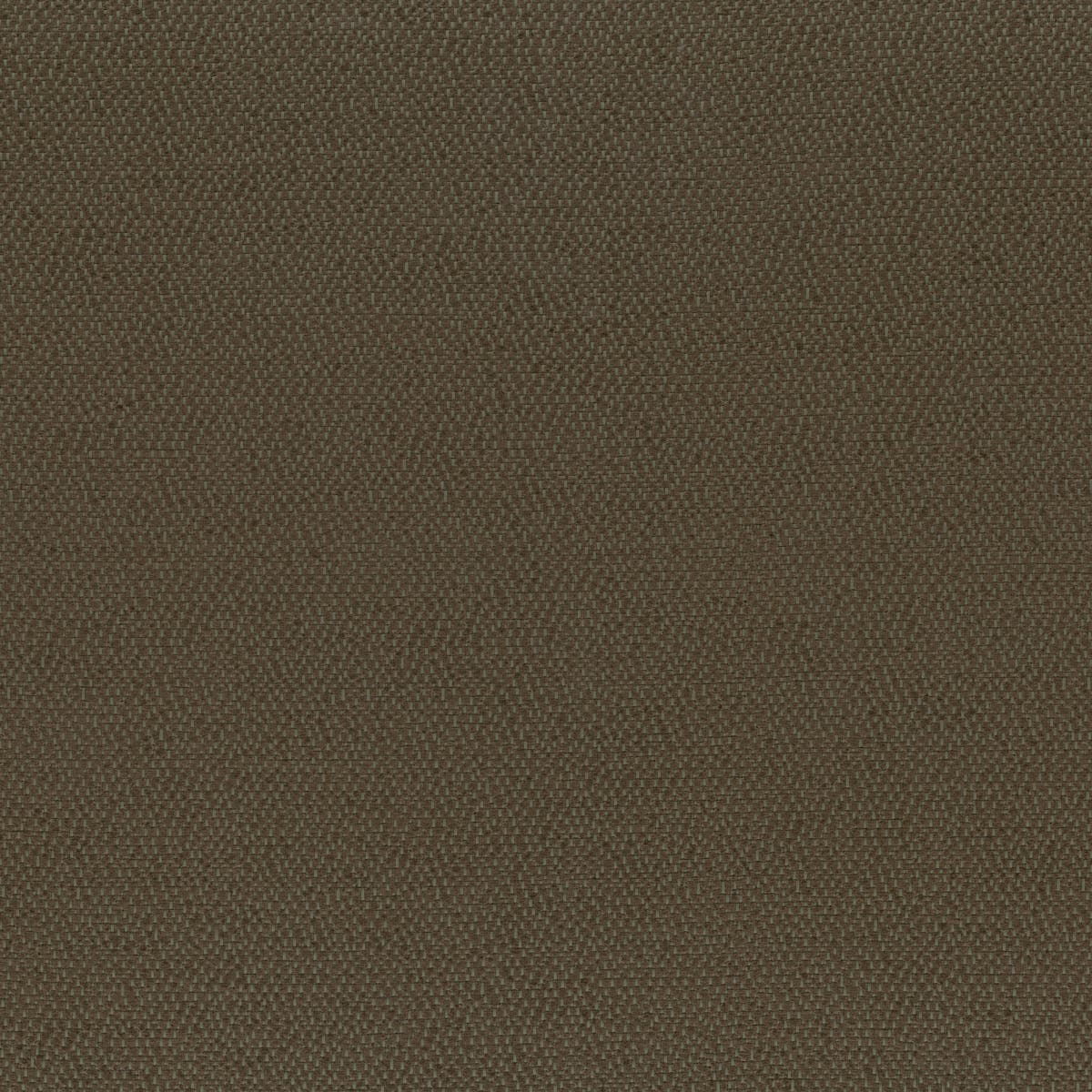 Rubelli Sharky fabric - Ebano