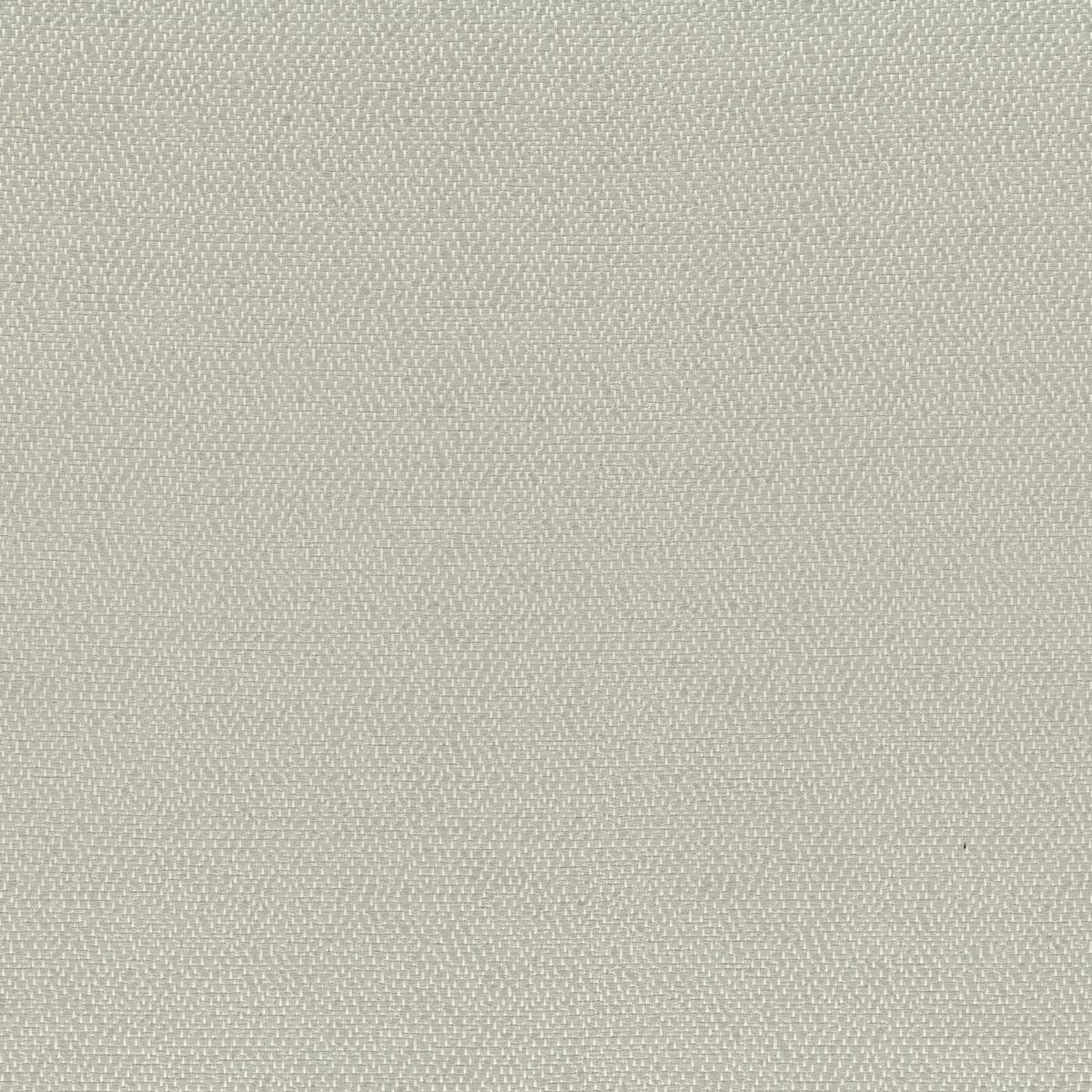 Rubelli Sharky fabric - Argento