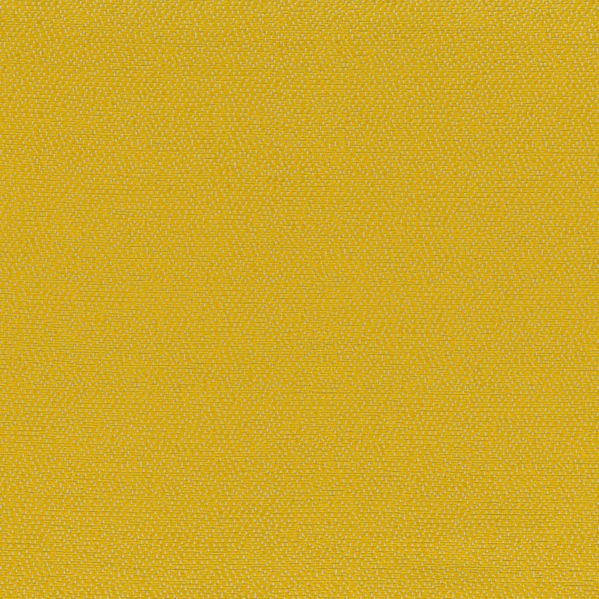 Rubelli Sharky fabric - Giallo