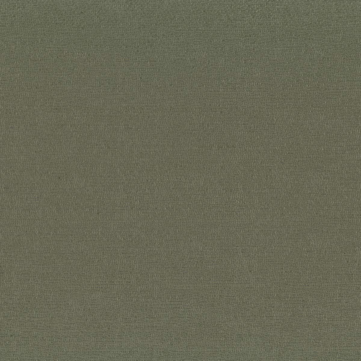 Rubelli Sharky fabric - Lichene