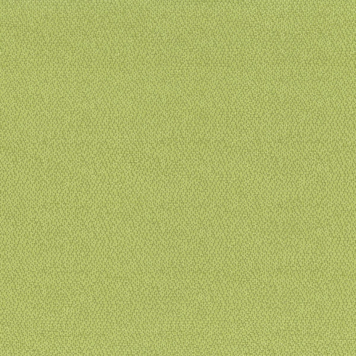 Rubelli Sharky fabric - Tiglio