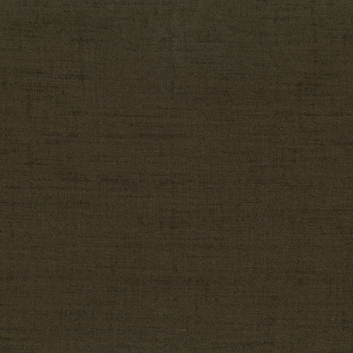 Rubelli Shanghai fabric - Marrone