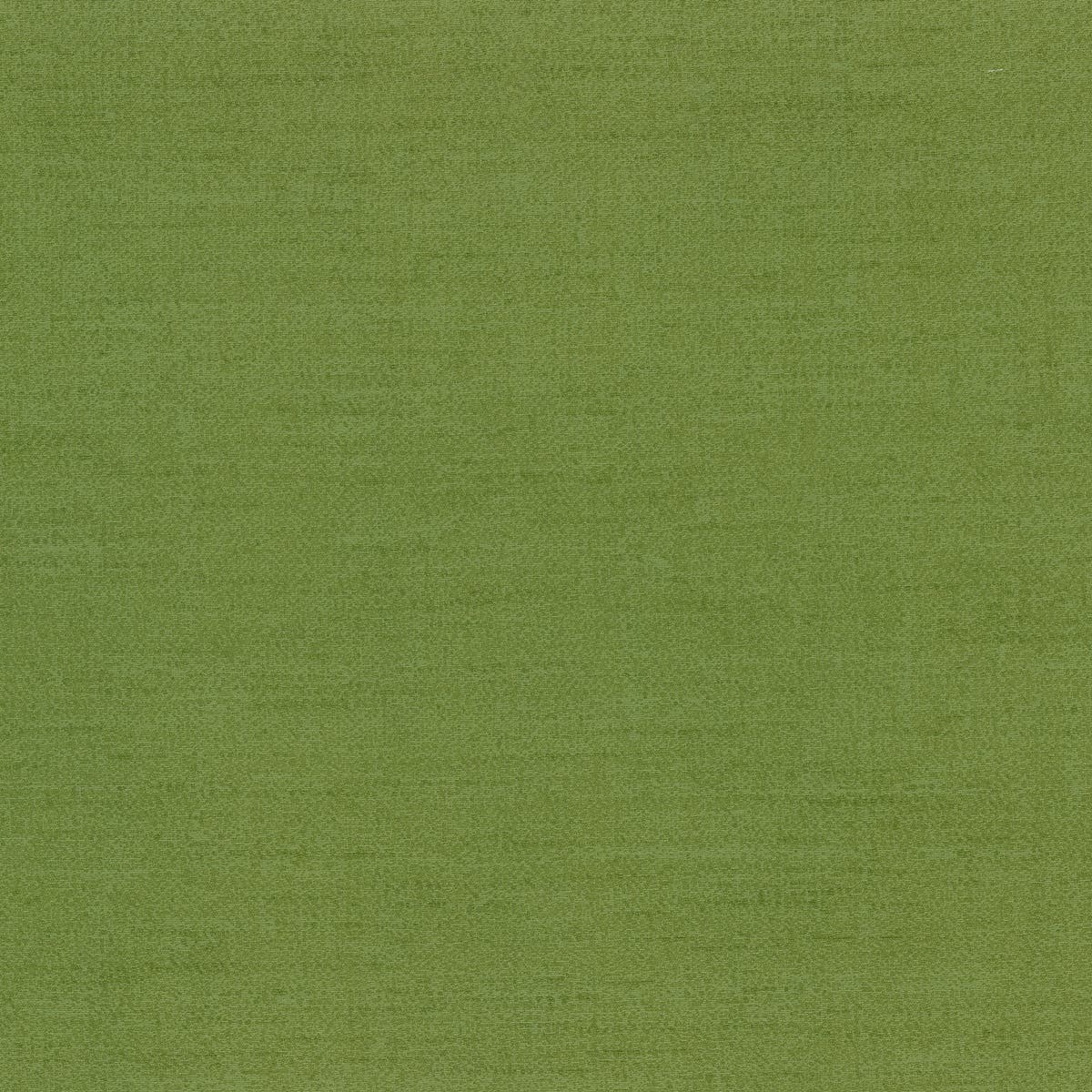 Rubelli Shanghai fabric - Oliva