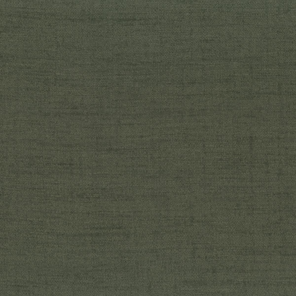 Rubelli Shanghai fabric - Muschio