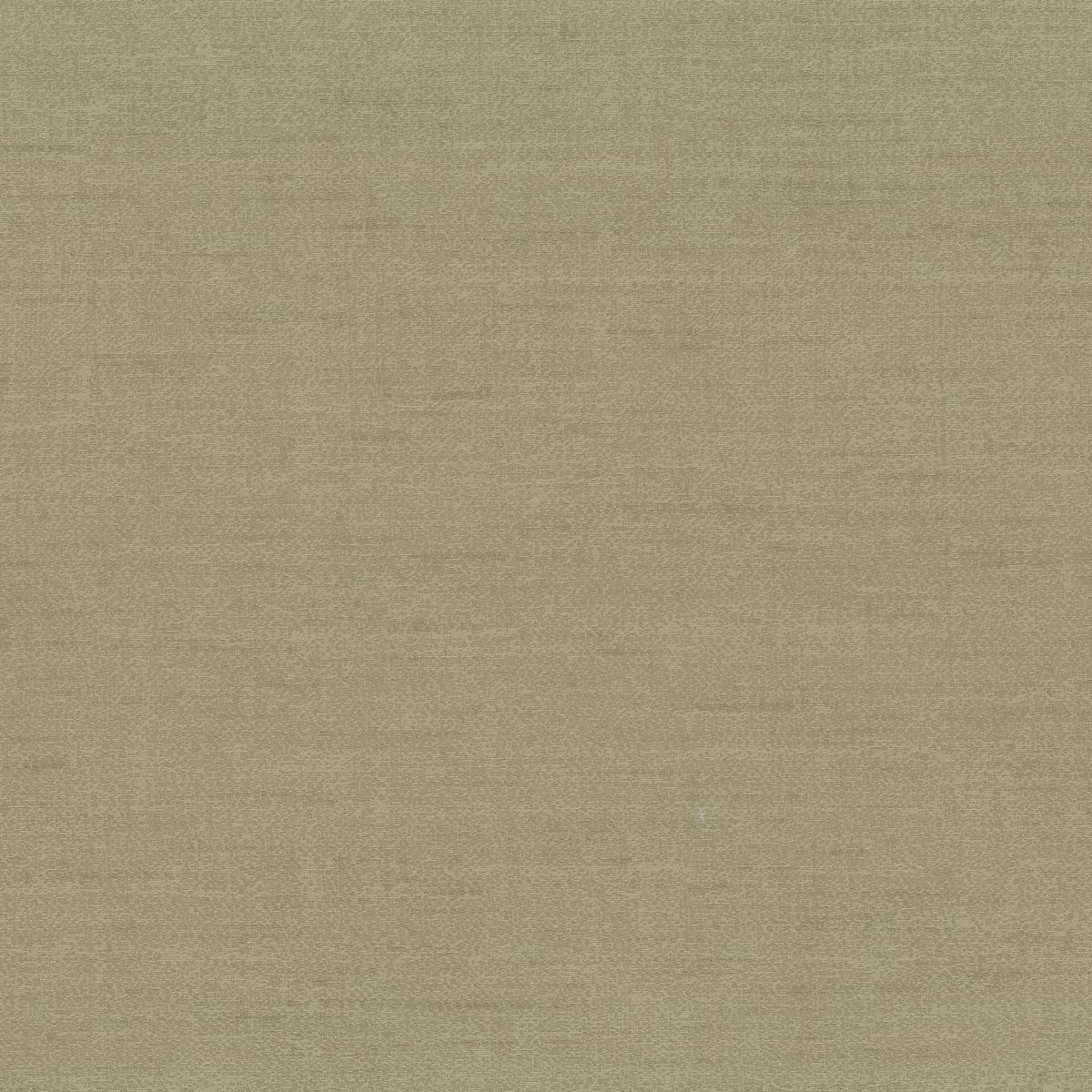 Rubelli Shanghai fabric - Argilla