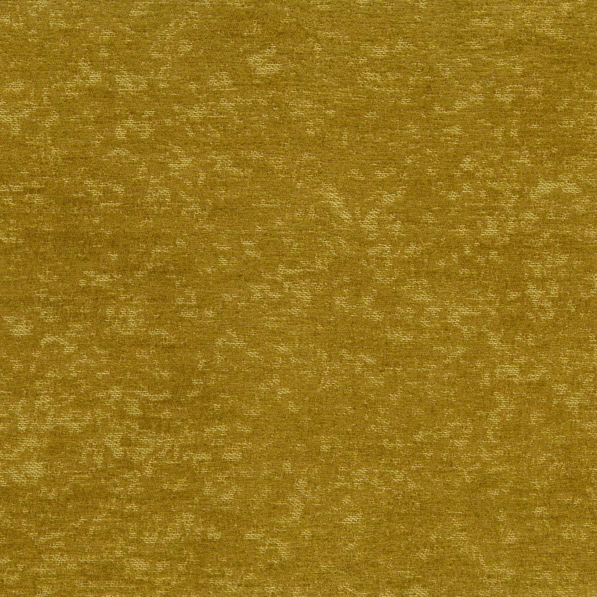 Rubelli James fabric - Oro