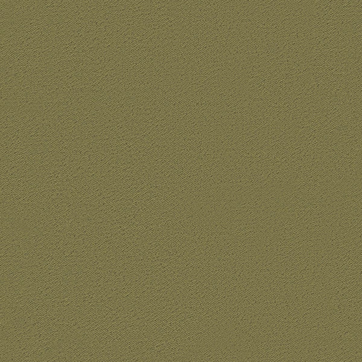 Rubelli Martora fabric - Tiglio