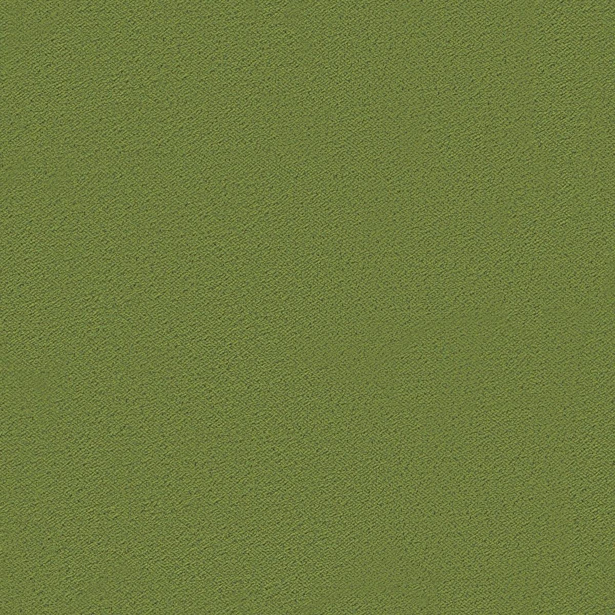 Rubelli Martora fabric - Oliva