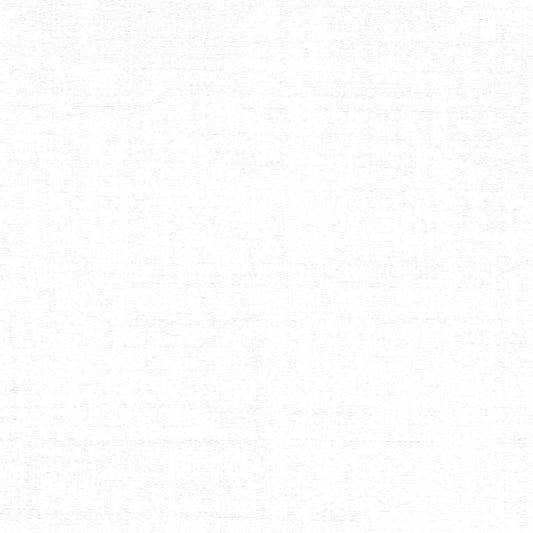 Rubelli Dundee fabric - Bianco