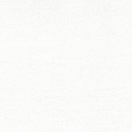 Rubelli Berlin fabric - Bianco