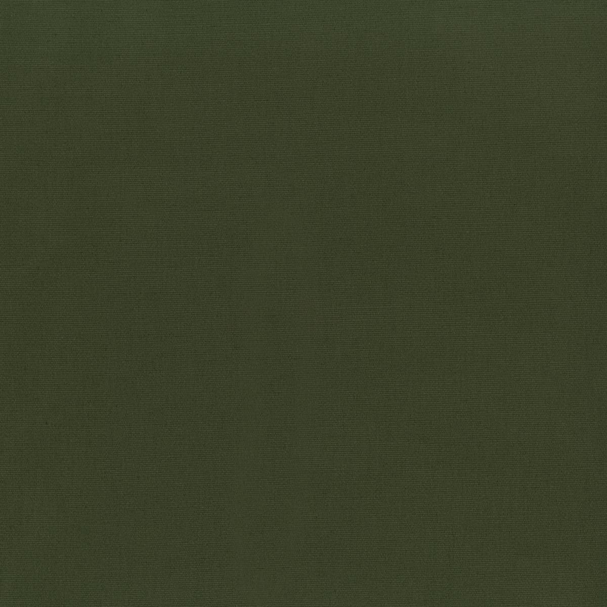 Rubelli Charles fabric - Bosco