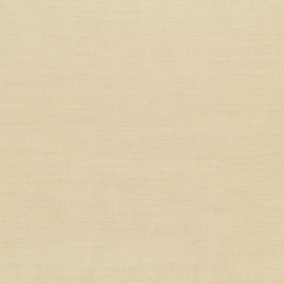 Rubelli Charles fabric - Pietra