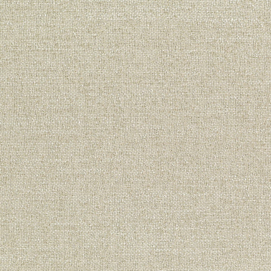 Rubelli Fabgold fabric - Bianco