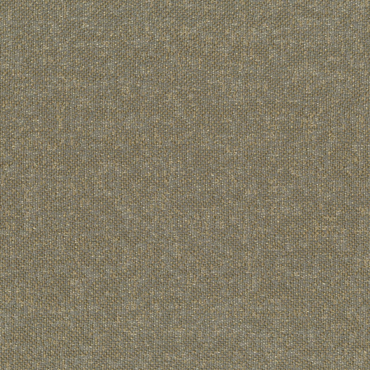Rubelli Fabgold fabric - Argilla