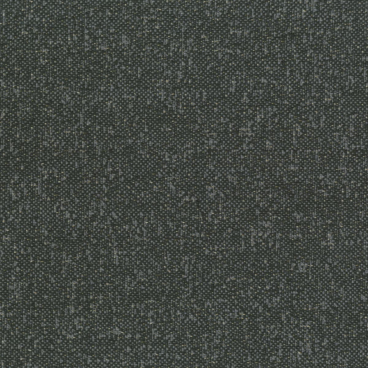 Rubelli Fabgold fabric - Antracite