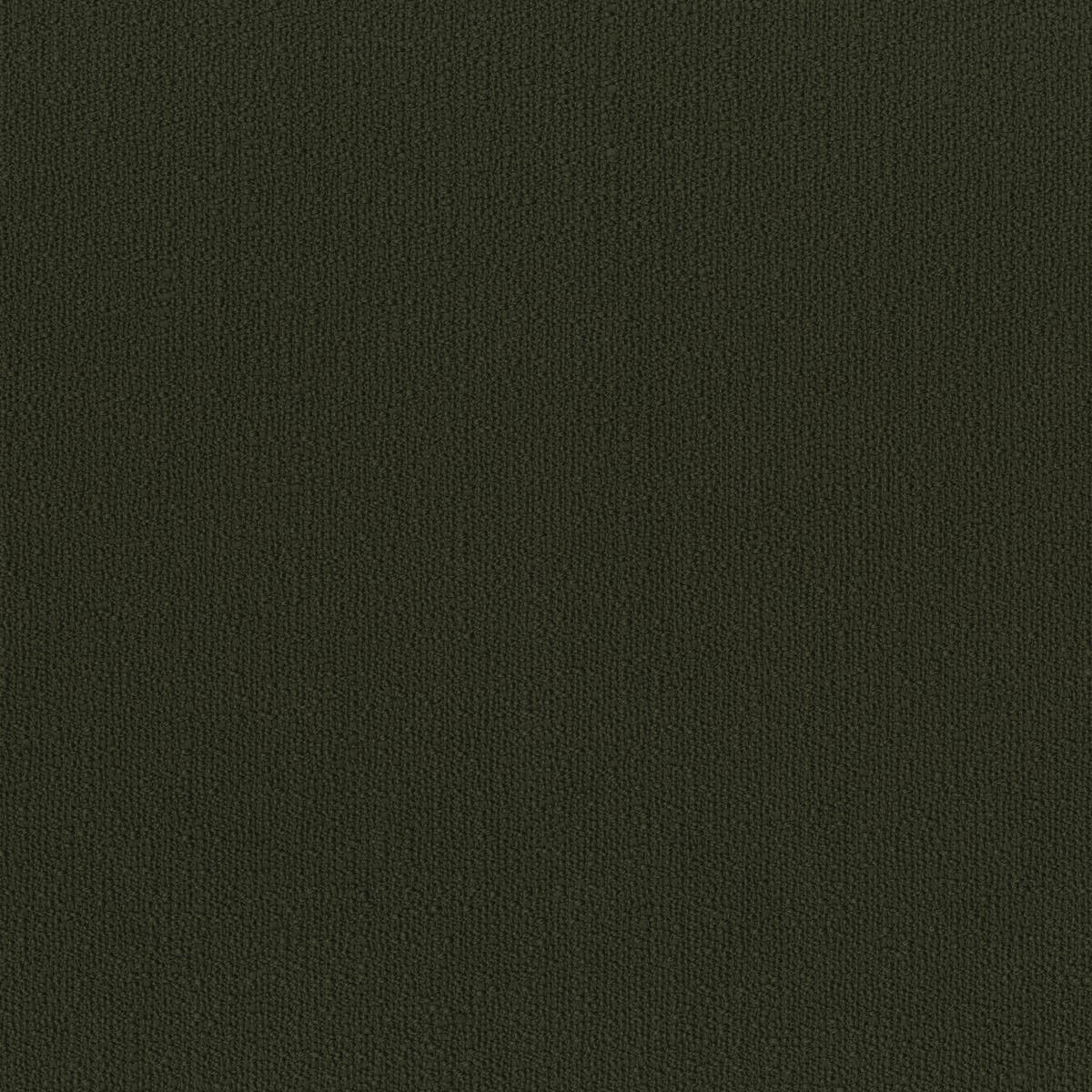 Rubelli Zeus fabric - Bosco