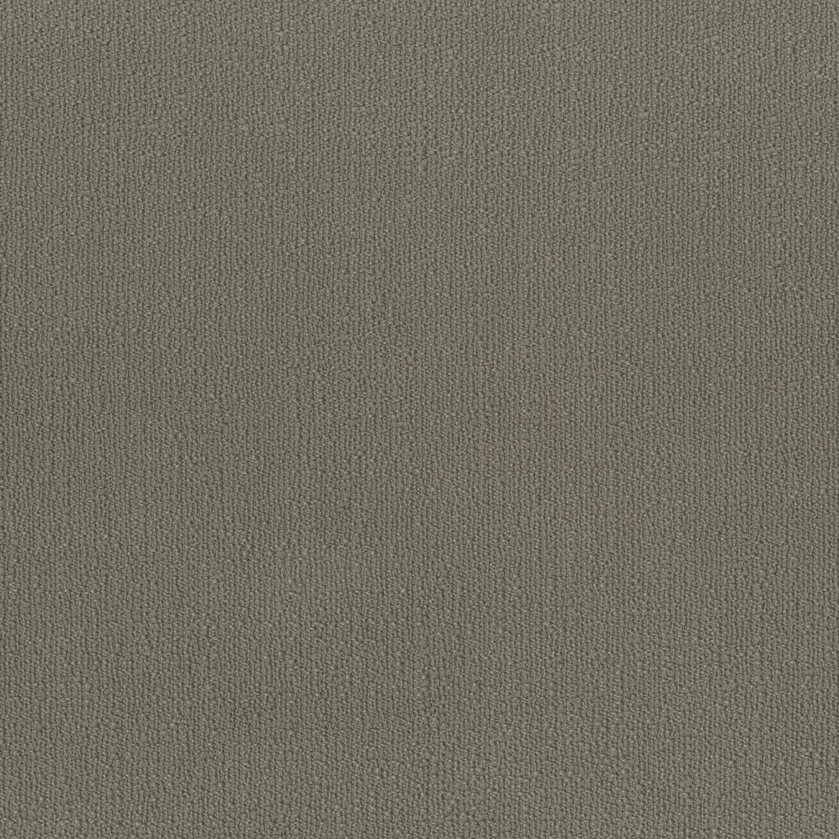 Rubelli Zeus fabric - Tortora