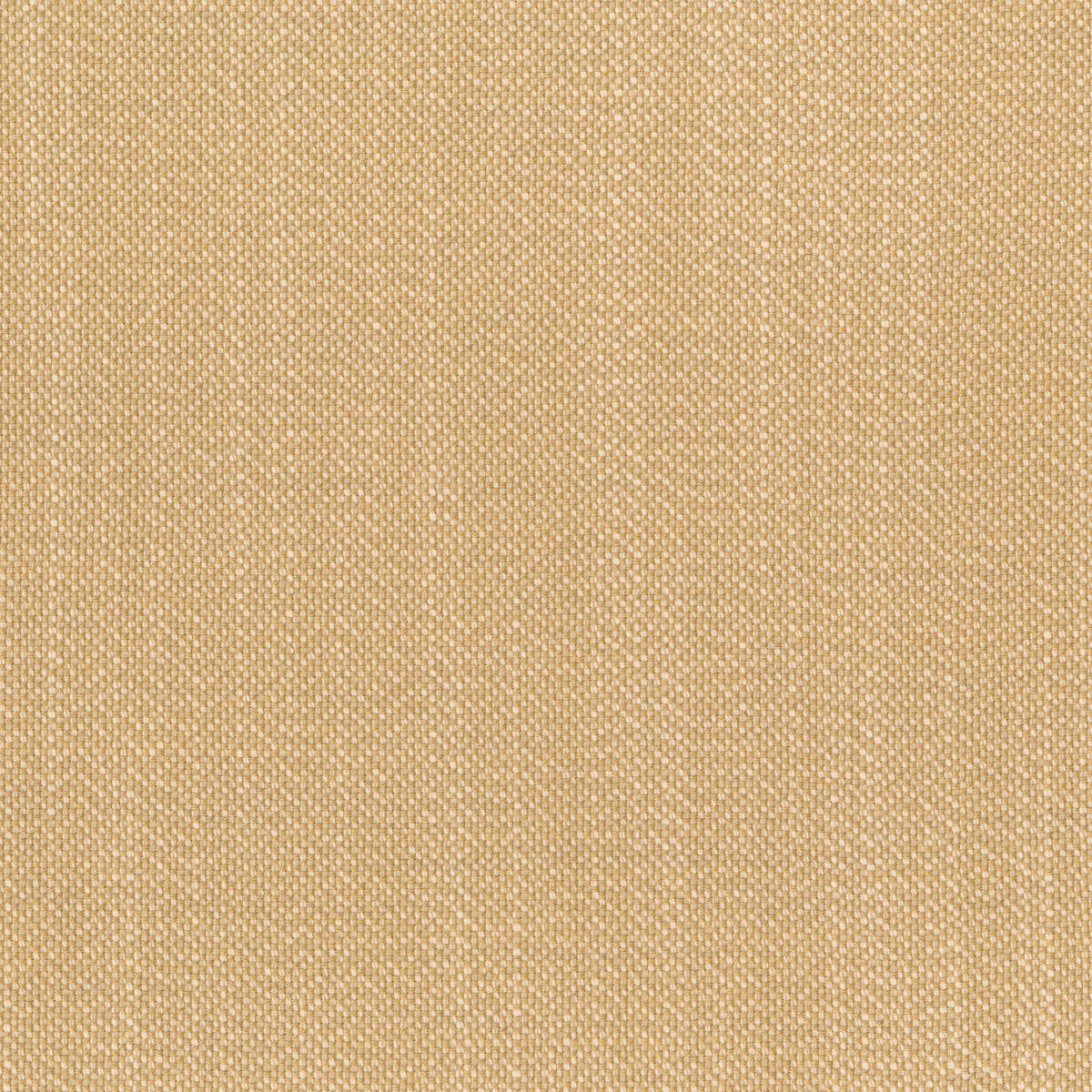 Rubelli Elba fabric - Paglia