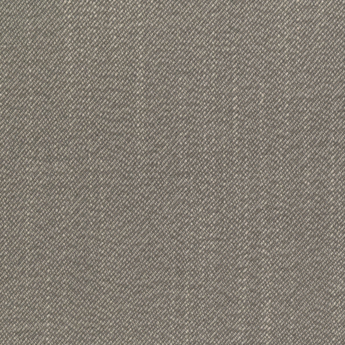 Rubelli Filicudi fabric - Grigio