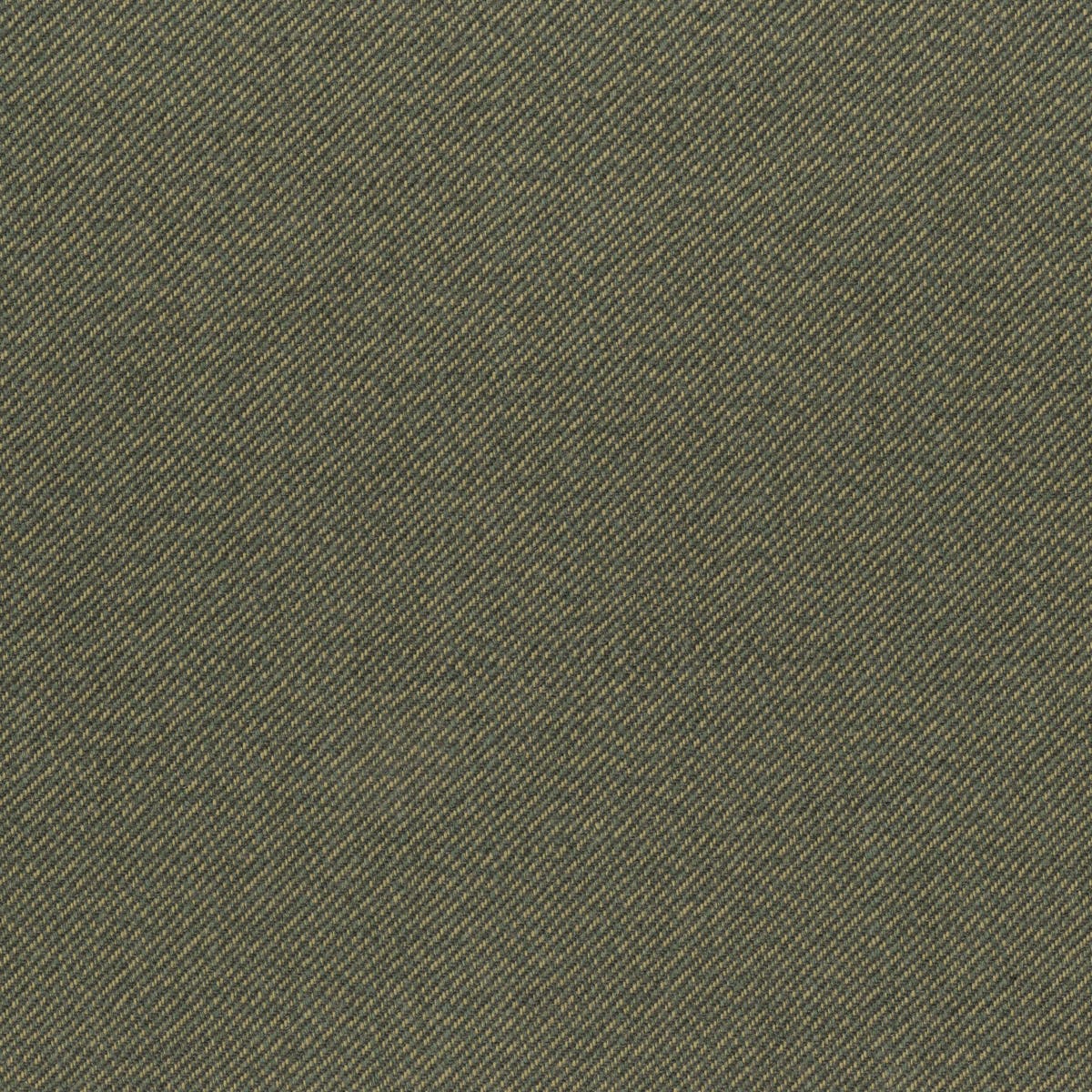 Rubelli Filicudi fabric - Reseda