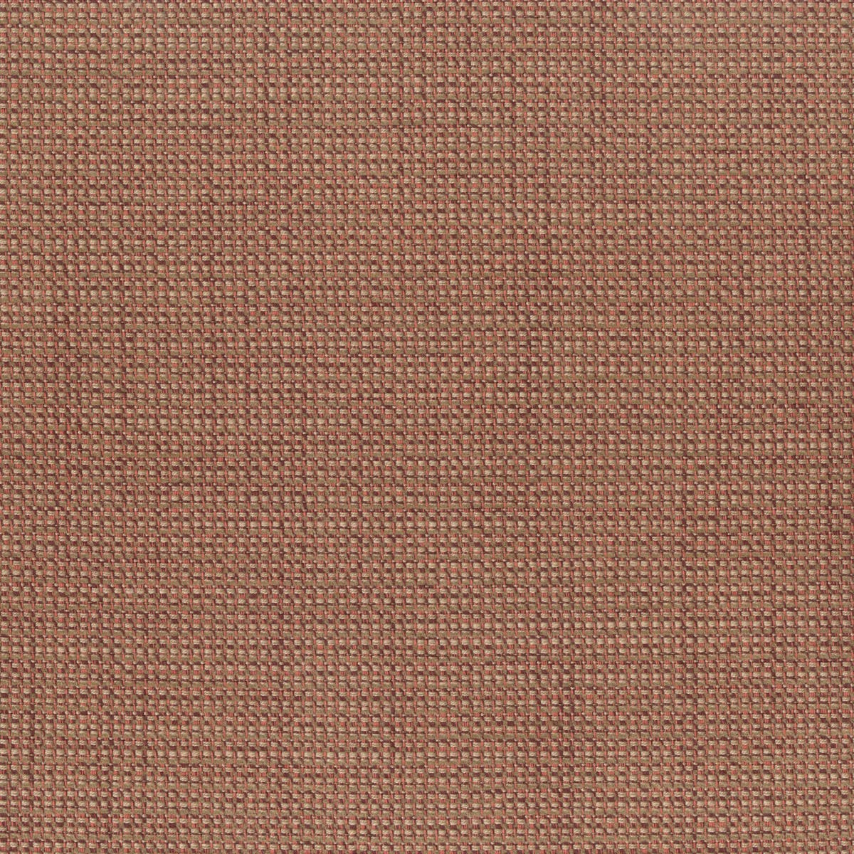 Rubelli Paros fabric - Legno di rosa