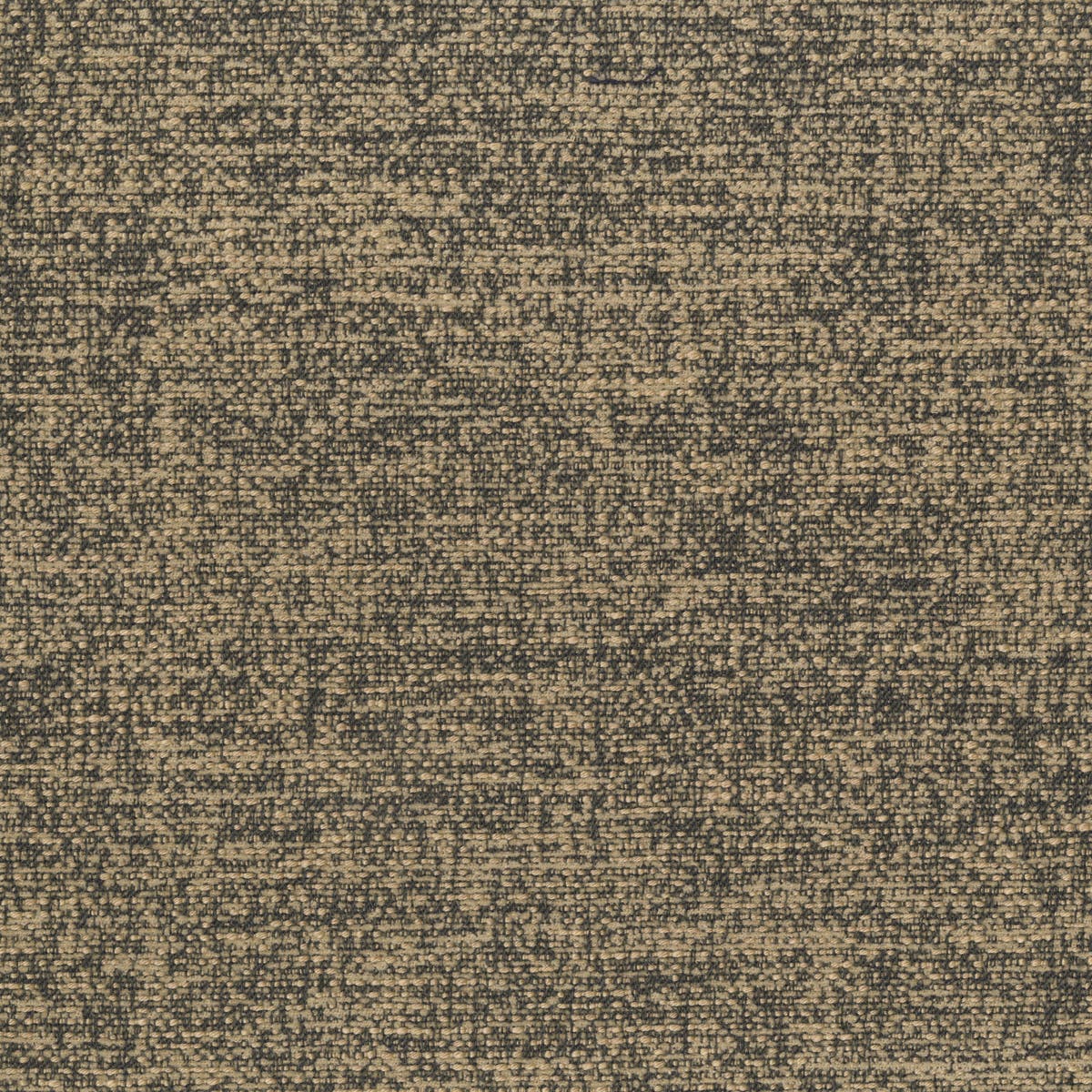 Rubelli Linosa fabric - Antracite