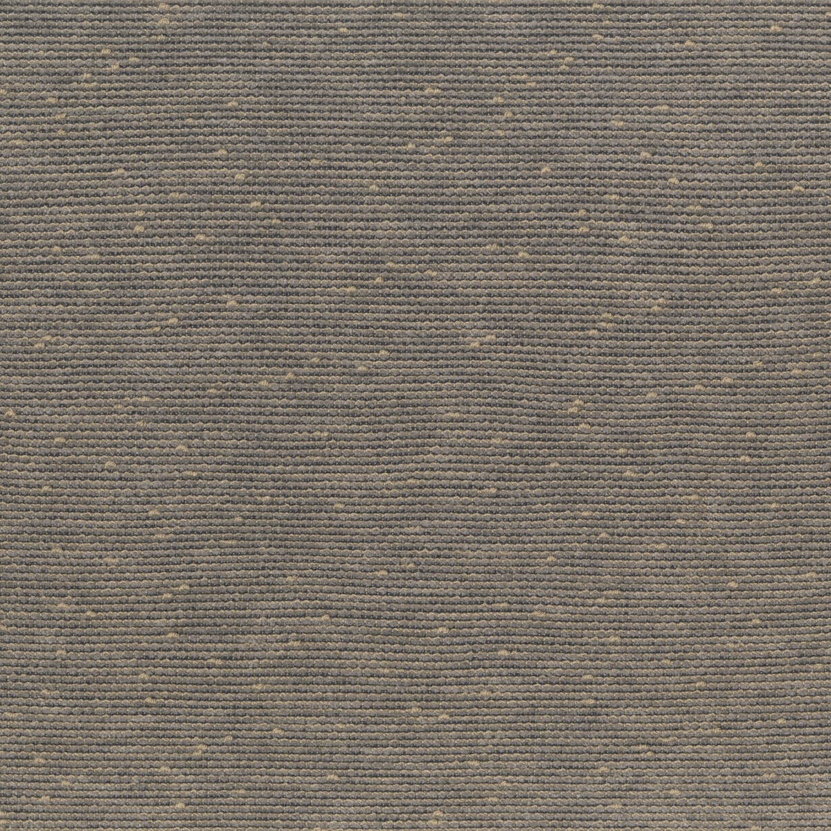 Rubelli Cipro fabric - Grigio