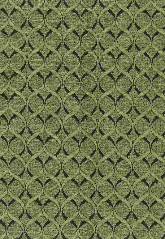 Osborne & Little | Giotto fabric - F6141-06