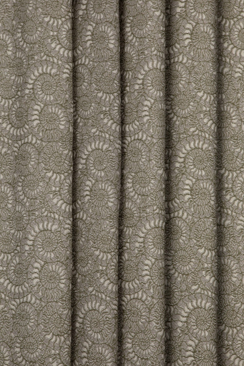 Lelièvre Paris | Ammonite